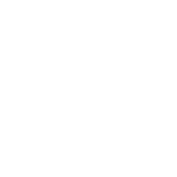 Telephone Icon